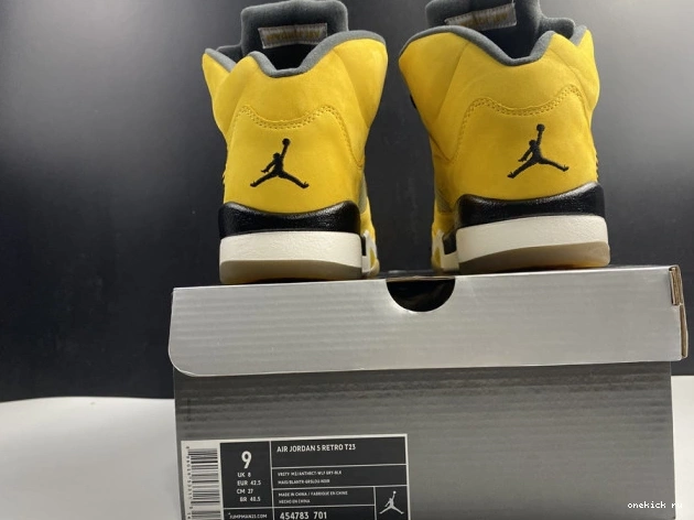 Chep Onekick T23 5 Retro Air Tokyo Jordan 454783-701 0703